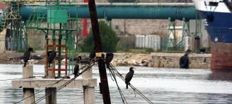 TERMINAL PETROLIER DE LA VERA