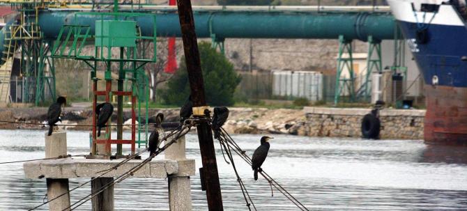 TERMINAL PETROLIER DE LA VERA