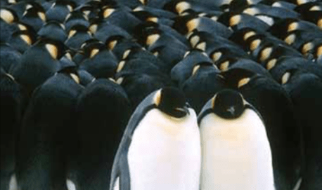 Capture d’écran 2018-10-15 à 17.57.05.png