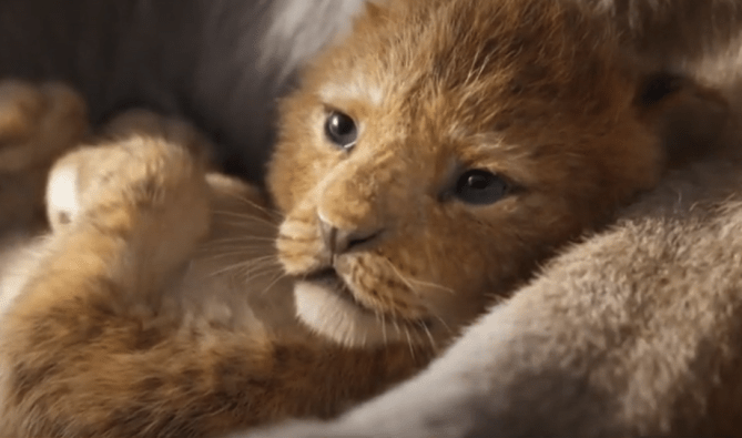 Capture d’écran 2019-12-15 à 01.51.02.png